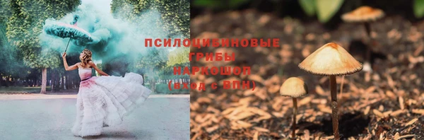 МДПВ Армянск