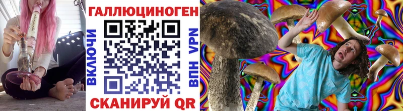 Псилоцибиновые грибы GOLDEN TEACHER  закладка  Каргат 
